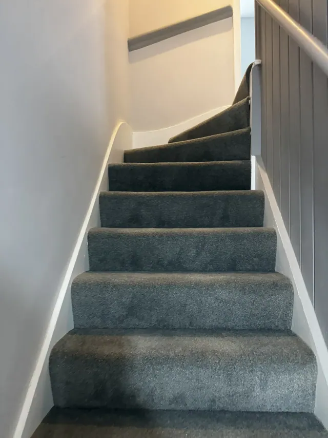 Carpeted staircase with decorated walls and painted joinery