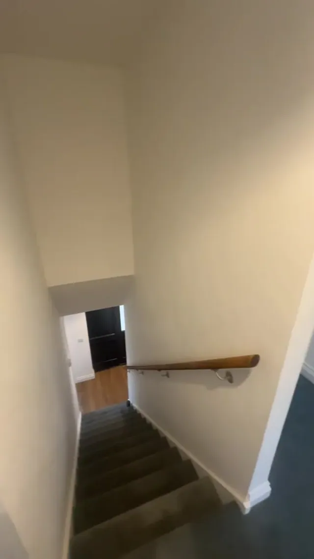 Carpeted staircase and decorated walls viewed from the landing