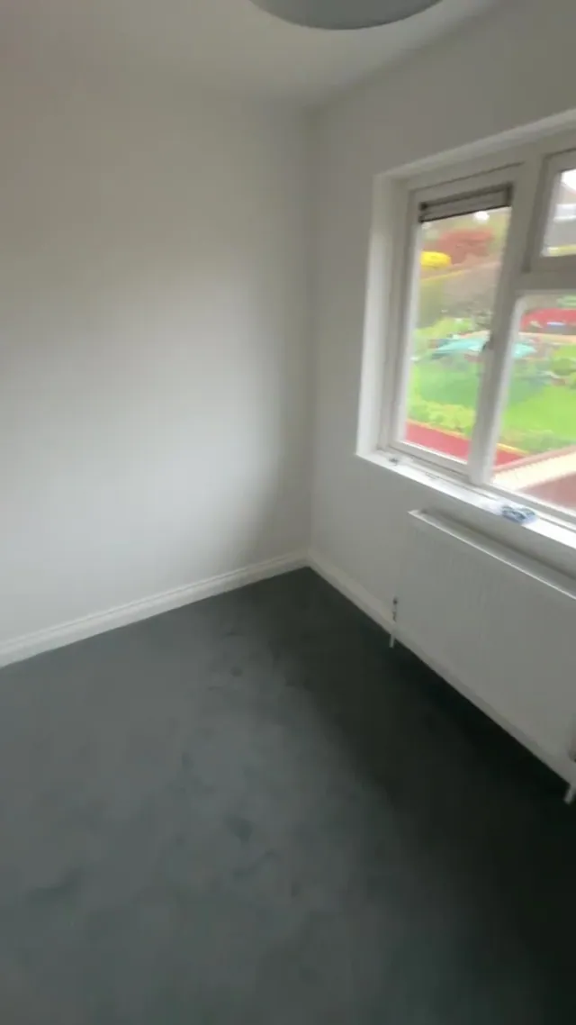 Decorated room with grey carpet and a radiator below the window