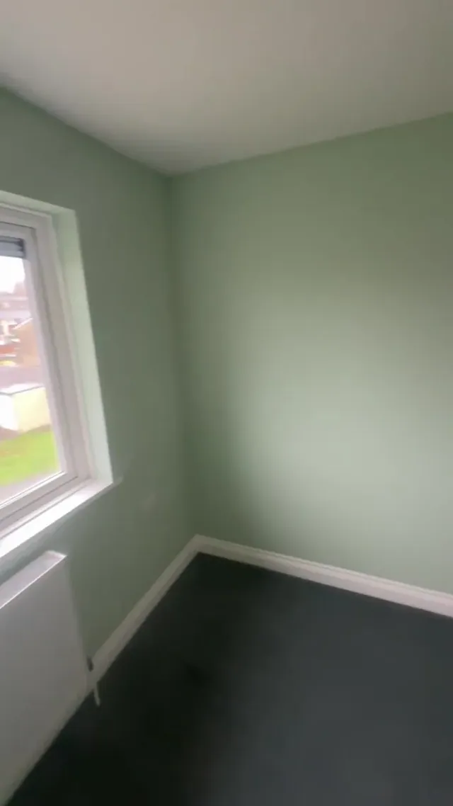 Decorated green room with fitted grey carpet