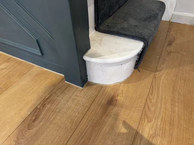 Carpet runner and painted staircase detail
